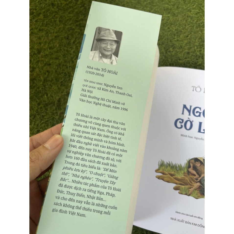 Sách – Ngọn cờ lau– Tô Hoài - minh họa Nguyễn Hồng Anh – minh họa in màu – ấn bản kỷ niệm 65 năm thành lập NXB Kim Đồng