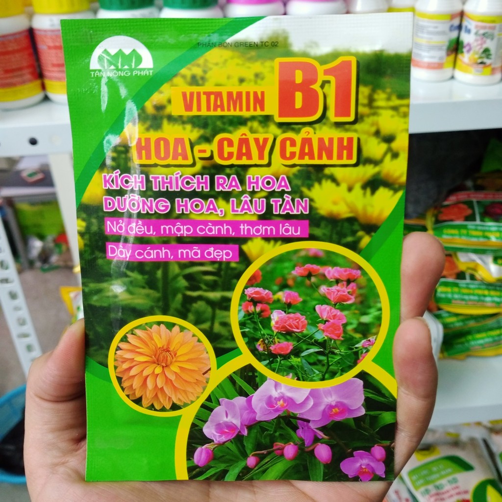 Phân Bón Vitamin B1 Cho Lan, Hoa Và Cây Cảnh <://:>