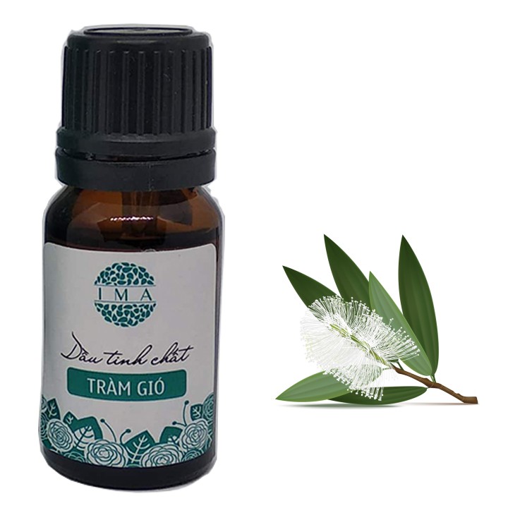 Tinh Dầu Tràm Gió Nga My Dung Tích 10ml Giúp Thơm Phòng Khử Mùi Giảm Căng Thẳng Mệt Mỏi