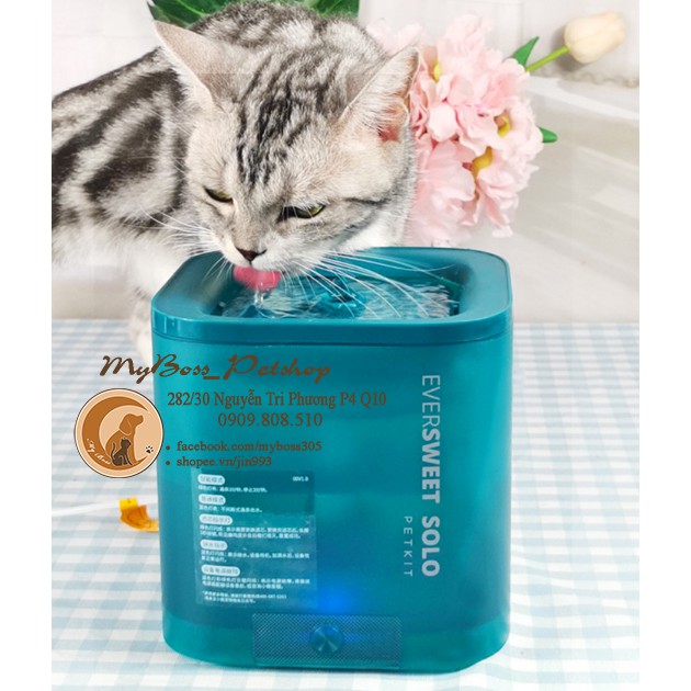 PETKIT - EVER SWEET SOLO - MÁY LỌC NƯỚC TỰ ĐỘNG CHO CHÓ MÈO TẶNG KÈM LÕI LỌC