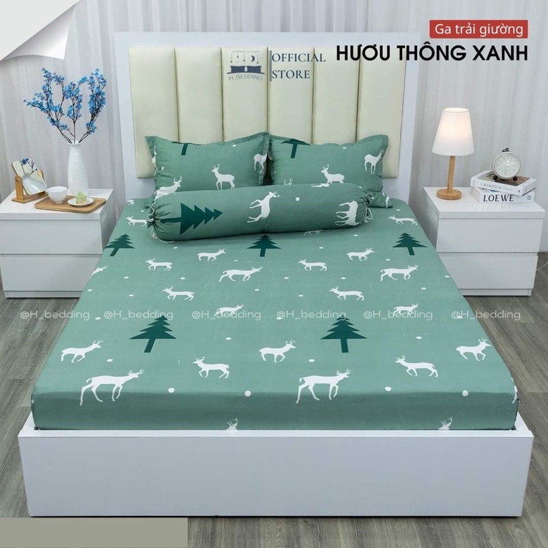 BỘ GA GỐI COTTON POLY size 1m2/m4/m6/m8