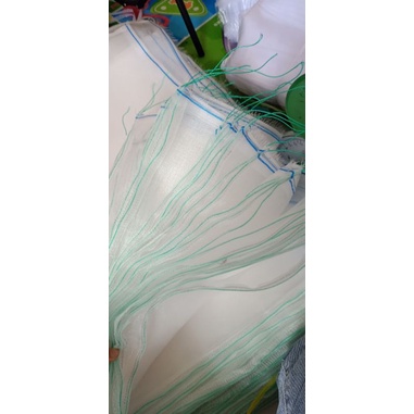 Túi bao trái mít cước thái