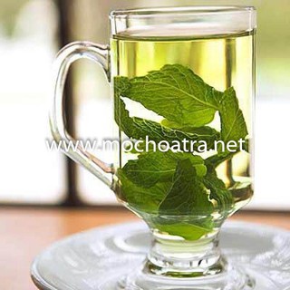 TRÀ LÁ BẠC HÀ - Mộc Hoa Trà (Túi 100gr)