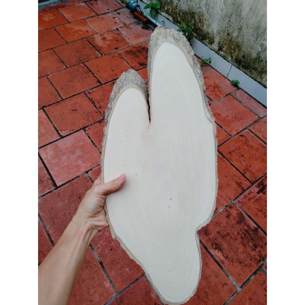 Lát gỗ Decor trang trí dài 44-48cm.