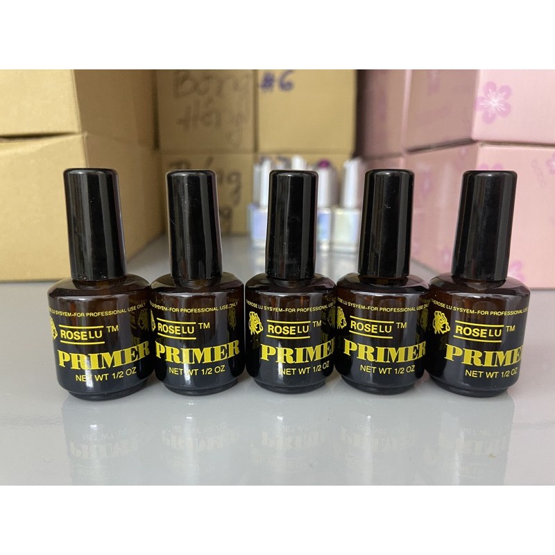 Primer Rose liên kết bột