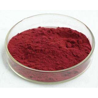 Carophyll đỏ trộn đồ tươi cho cá cảnh (1 gram) - Carophyll red 10% trộm tim bò, tôm, thức ăn cá