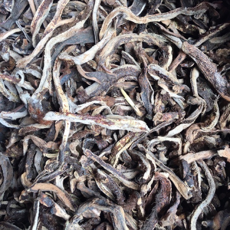 Cốt bổ toái (tắc kè đá) thần dược xương khớp  khô túi 1kg