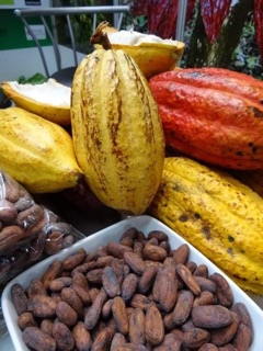 500g BỘT CA CAO NGUYÊN CHẤT