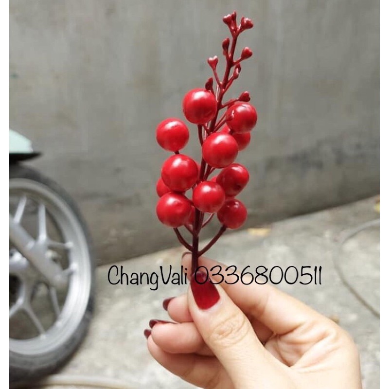 Cành quả cherry xốp trang trí bó hoa, vòng nguyệt quế - HN5