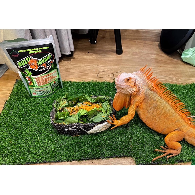 Thức ăn đồ ăn cho rồng nam mỹ multi iguana food | Vietpetgarden