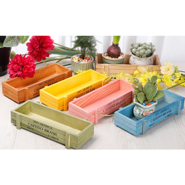 kệ gỗ trồng cây sen đá để hoa HG3 sắc màu 22,5x4,5x4,5 cm