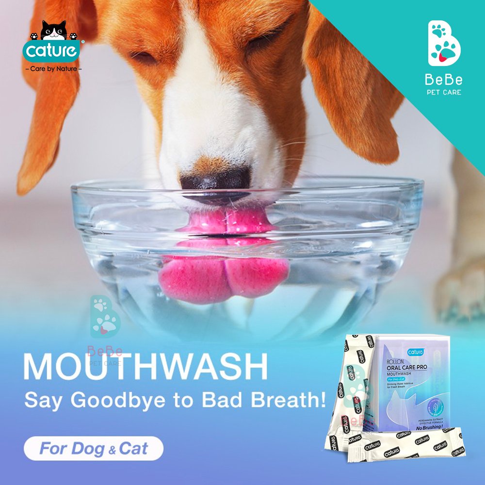 Dung Dịch Pha Nước Uống Thơm Miệng Cho Chó Mèo CATURE Oral Care Pro 5ml