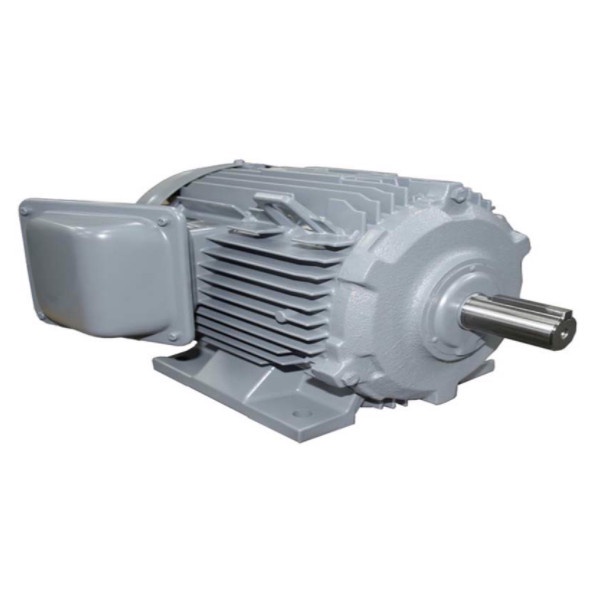 Động Cơ Điện 3 Pha 11hp