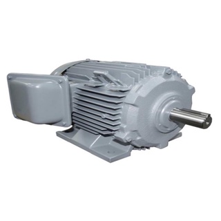 Động cơ điện 3 pha 11hp
