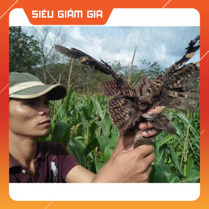 [Combo] [Combo] [Xả Kho] Lưới bẫy chim chào mào, họa mi, chòe Cao 5m, độ dài tùy chọn, Lưới Chim Thái Lan [Giá rẻ] [Giá