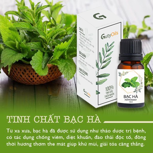 Tinh dầu bạc hà nguyên chất GutyOils dùng xông phòng, đuổi côn trùng, giảm stress, tạo cảm giác thỏa mái ( lọ 10ml )