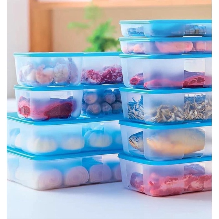 Hộp ngăn đông nhựa nguyên sinh Tupperware 3.1l