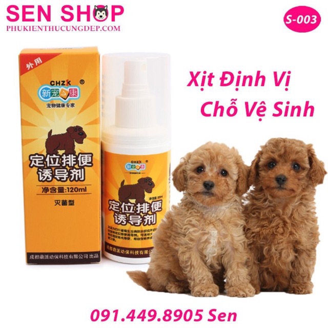 XỊT ĐỊNH VỊ CHỖ VỆ SINH CHO CHÓ