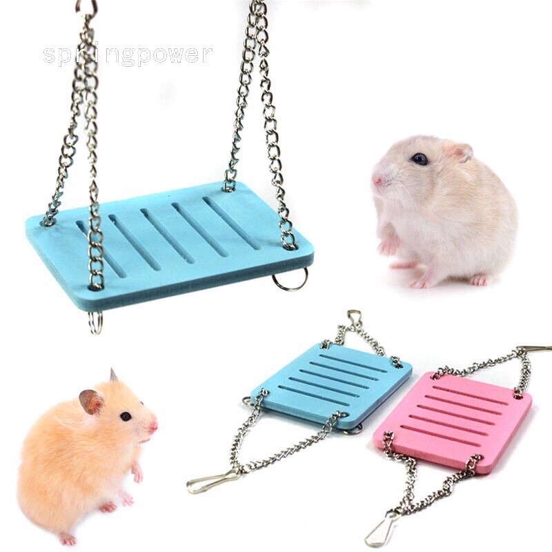 Đồ chơi thú cưng: xích đu treo cho hamster, sóc…