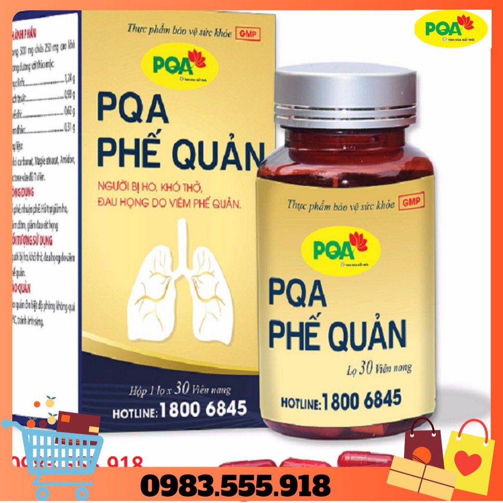 PQA Phế Quản viên nang- viêm phế quản, ho, khò khè, hộp 100 VIÊN NANG 