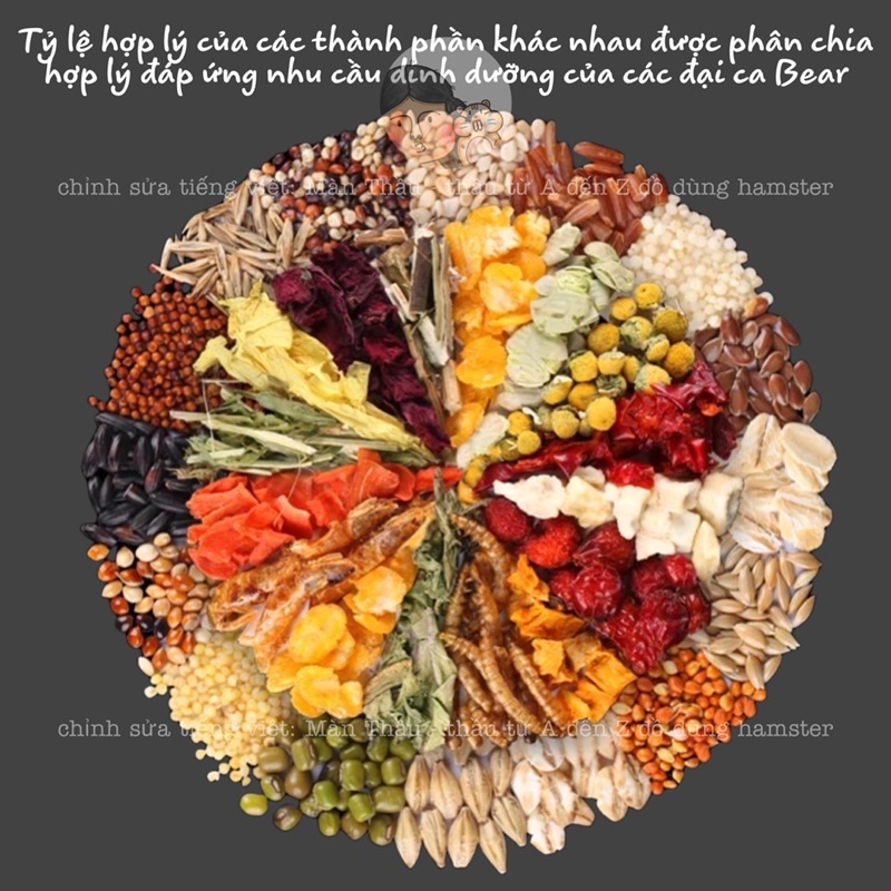 Thức ăn Bucatstate H2 Bear dành cho Hamster
