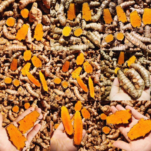 Tinh bột nghệ nguyên chất nhà làm