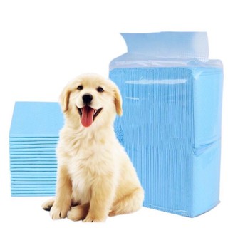 Giấy tã lót vệ sinh cho thú cưng cao cấp- miếng lót cho thú cưng