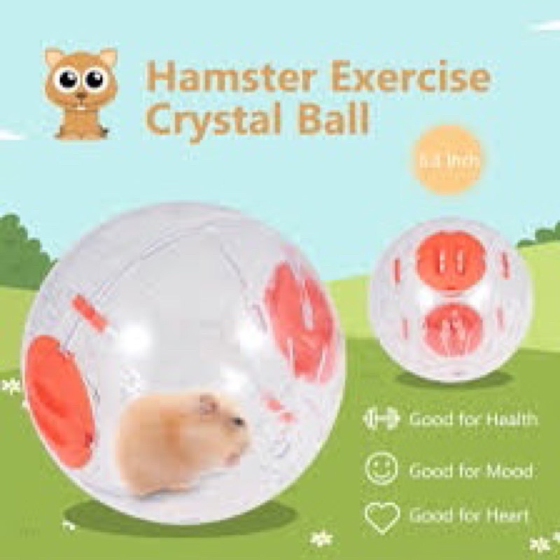 Banh chạy cho Hamster