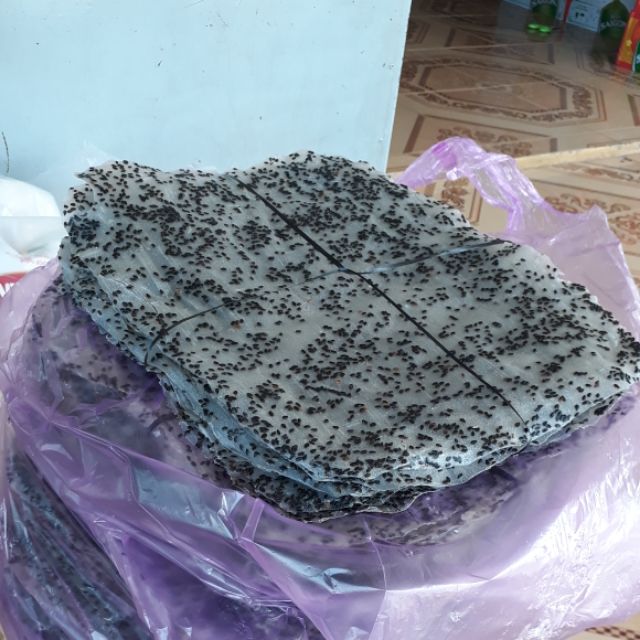 Bánh tráng dày phan rang 1 xấp 10 cái  45k