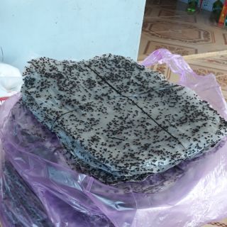 Bánh tráng dày phan rang 1 xấp 10 cái  45k