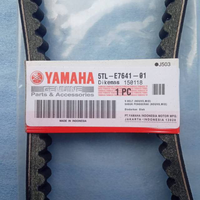 V-belt onlly 5TL Old Mio / Mio sporti / Fino Kkarbu / Sản Phẩm Chất Lượng