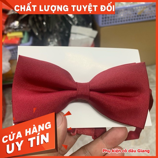TPu003eNơ mèo chú rể phụ kiện cưới Giang nơ mèo màu đỏ đô giảm chỉ còn 