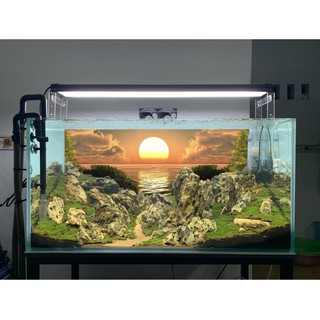 [Tặng Đồ Dán+Sticker] Tranh 3d dán bể cá trang trí bể cá nhiều kích thướt chọn lựa mã tranh