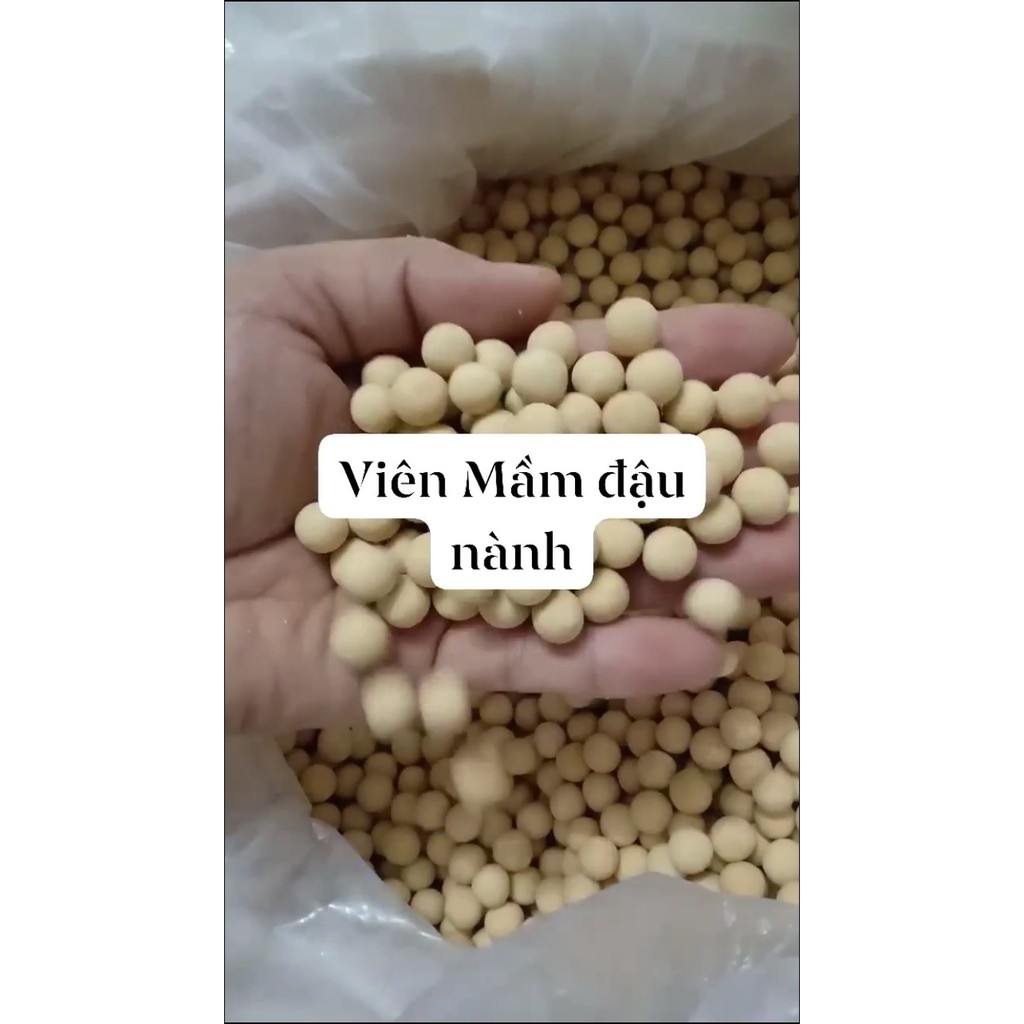 500gr viên mầm đậu nành nguyên xơ tăng vòng 1, đẹp da, cân bằng nội tiết tố nữ , 100% từ thiên nhiên.