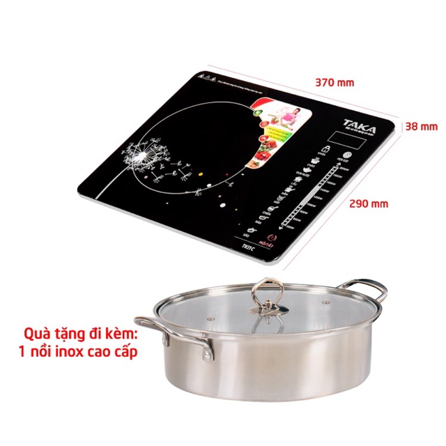 Bếp từ Taka TKI1C