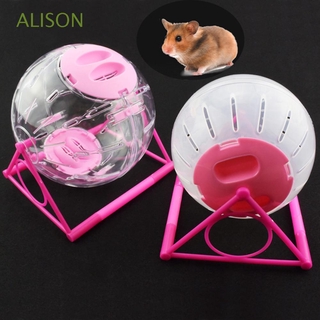 Quả Bóng Chạy Bộ Đồ Chơi Trong Suốt Cho Chuột Hamster