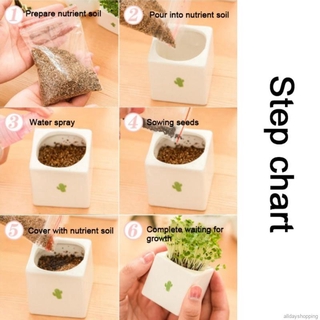 Desk Flower Pot Automatic Watering Flower Pot
