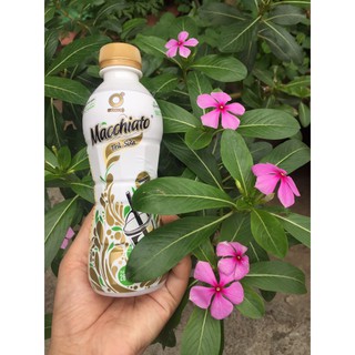 Trà sữa macchiato Không Độ 268ml