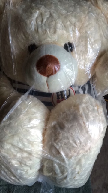 Gấy bông teddy m7