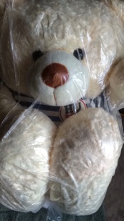 Gấy bông teddy m7