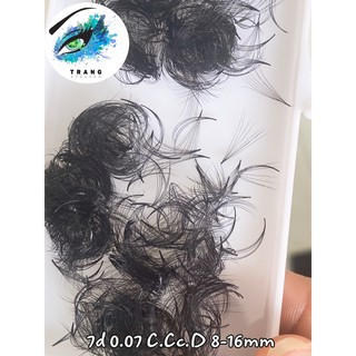 {Nowship} 7D 0.07 - Mi volume fan sẵn 7D 0,07 D/Cc/C 9-15mm (500fan/hộp)