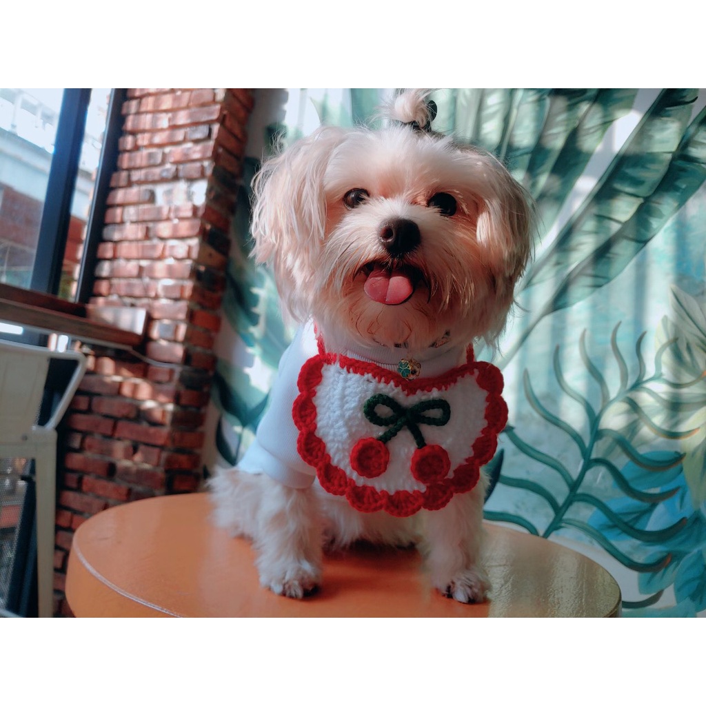 Vòng cổ len handmade cho CHÓ/MÈO