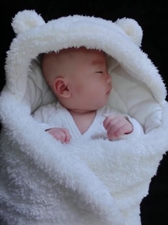 Chăn ủ kén lông cừu