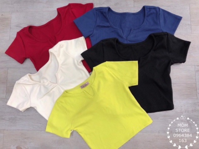 Áo Croptop xẻ V nhỏ bao chất
