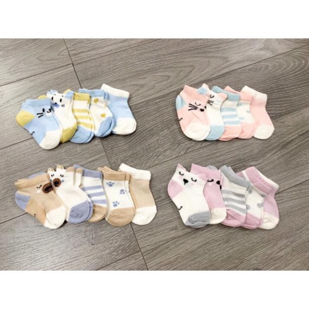 (Lẻ = sỉ rẻ nhất) Sét 5 Đôi Tất Lưới Kids Socks Loại Đẹp