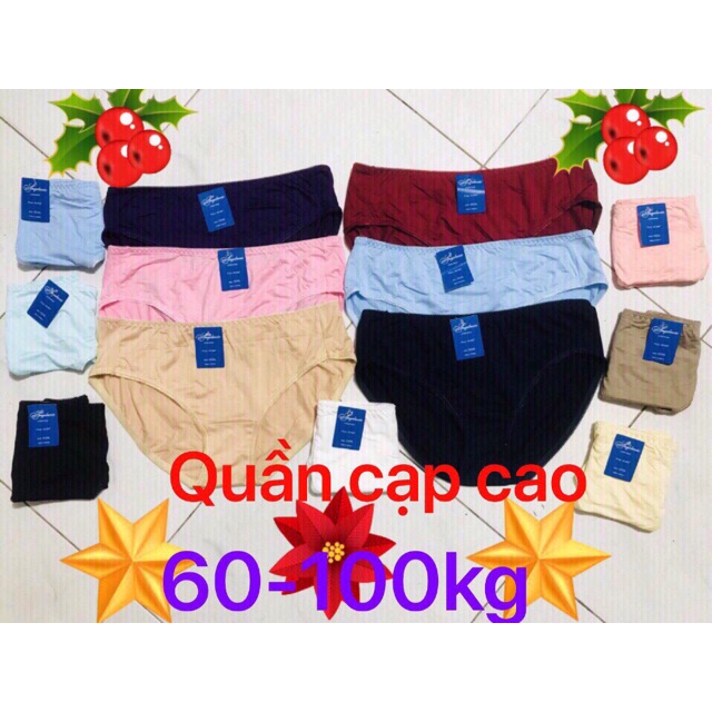 10 Quần lót cotton bigsize