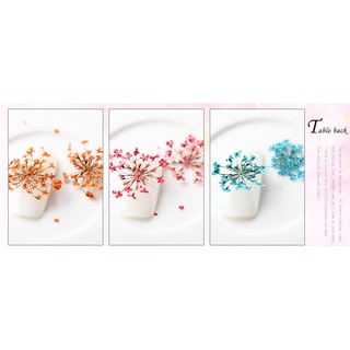 SET HOA KHÔ Nail 24 bông