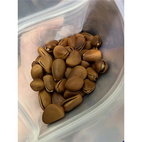 Hạt thông Mỹ sấy chín