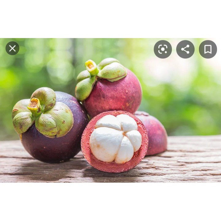 Măng cụt lái thiêu chín đều tươi ngon không bị chai sượng .1kg giao nhanh khu vực TP HCM VÀ CÁC TỈNH LÂN CẬN | BigBuy360 - bigbuy360.vn