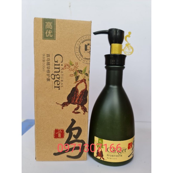 Cặp dầu gội Gừng Thiên nhiên Natural Ginger tinh chất gừng và hà thủ ô